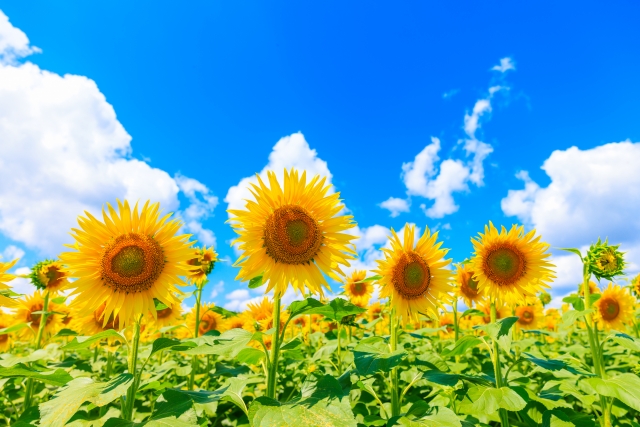 「教育支援センター」で自立をめざす