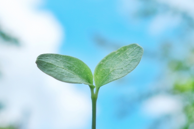 フレンドひまわり勅使 訪問記